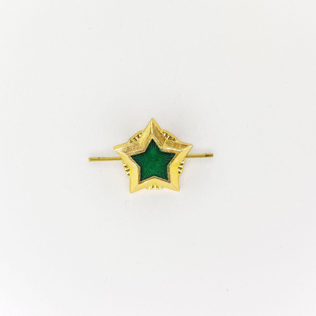 Звезда на погоны ФССП, золотой 20 мм металл - интернет магазин Полигон