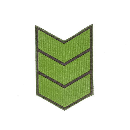 Выслуга пластиз. 15 лет зел - интернет магазин Полигон