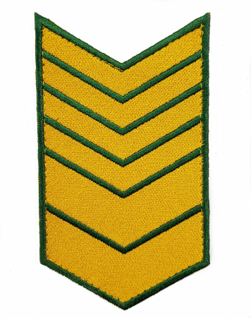 Выслуга вышитая 14 лет на липучке, желтый - интернет магазин Полигон