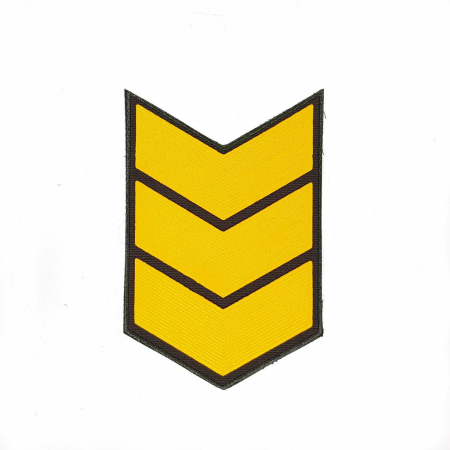 Выслуга пластиз. 15 лет жел - интернет магазин Полигон