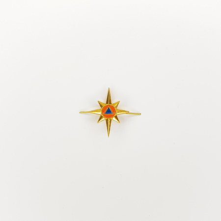 Эмблема петличная нового образца 2020 МЧС, золотой, металл - интернет магазин Полигон