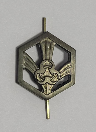 Эмблема петличная нового образца защитная Войска РХБЗ, зеленый, металл - интернет магазин Полигон