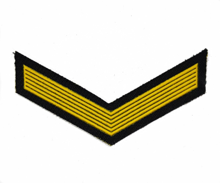 Курсовка пластизированная 1 курс галочка, черный - интернет магазин Полигон